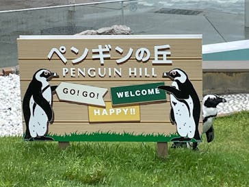 マリンワールド海の中道に投稿された画像（2025/5/24）