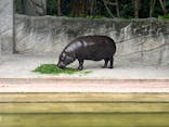 名古屋市東山動植物園に投稿された画像（2025/5/24）