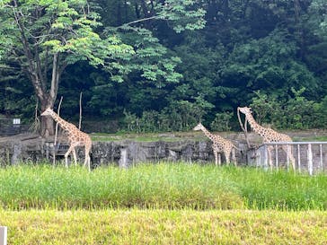 名古屋市東山動植物園に投稿された画像（2025/5/24）