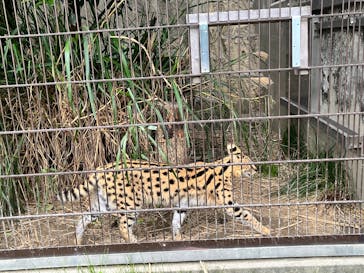 名古屋市東山動植物園に投稿された画像（2025/5/24）
