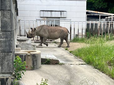 名古屋市東山動植物園に投稿された画像（2025/5/24）