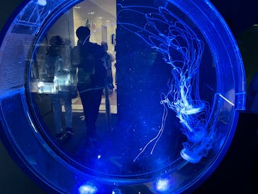 名古屋港水族館に投稿された画像（2025/5/24）