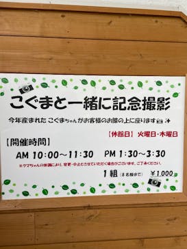 奥飛騨クマ牧場に投稿された画像（2025/5/24）