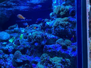 マクセル アクアパーク品川に投稿された画像（2025/5/24）