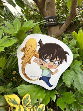 サンシャイン水族館に投稿された画像（2025/5/24）