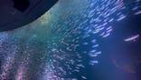 名古屋港水族館に投稿された画像（2025/5/24）