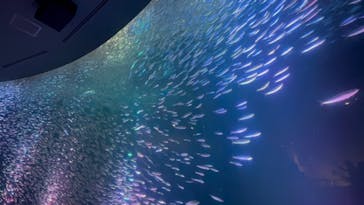 名古屋港水族館に投稿された画像（2025/5/24）
