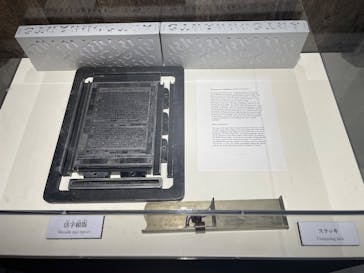 特別展「チ。 ―地球の運動について― 地球(いわ)が動く」に投稿された画像（2025/5/24）