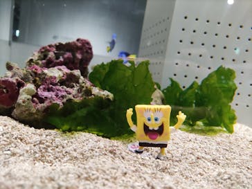 AOAO SAPPOROに投稿された画像（2025/5/24）