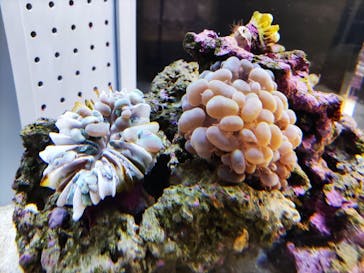 AOAO SAPPOROに投稿された画像（2025/5/24）