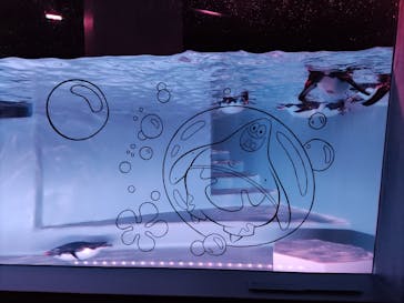 AOAO SAPPOROに投稿された画像（2025/5/24）