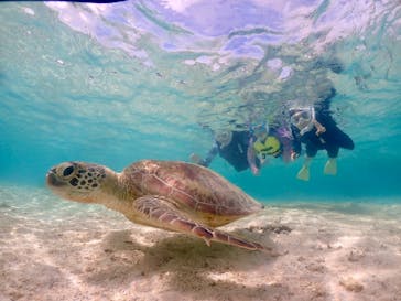 元気玉に投稿された画像（2025/5/24）