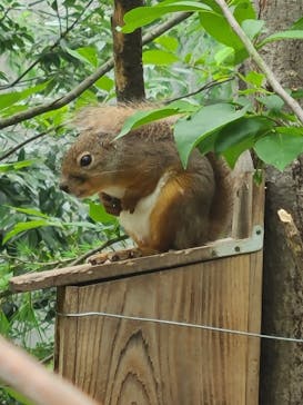 那須どうぶつ王国に投稿された画像（2025/5/24）
