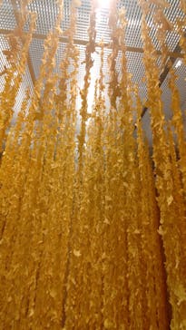 ポケモン×工芸展－美とわざの大発見－に投稿された画像（2025/5/24）