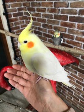 アニタッチ 東京ドームシティに投稿された画像（2025/5/24）