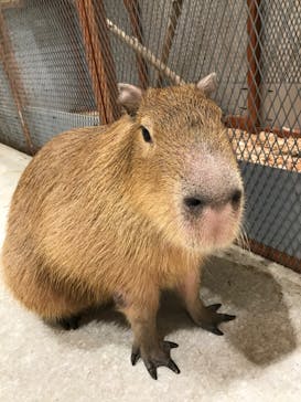 アニタッチ 東京ドームシティに投稿された画像（2025/5/24）