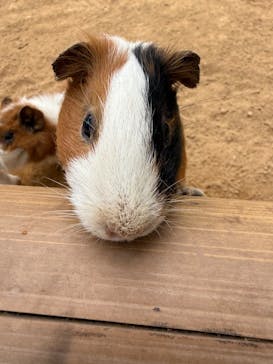 東北サファリパークに投稿された画像（2025/5/24）
