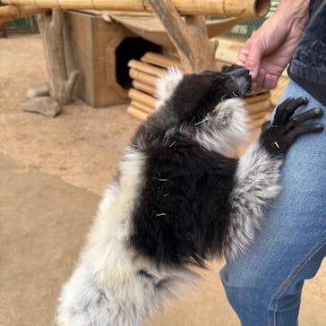 東北サファリパークに投稿された画像（2025/5/24）