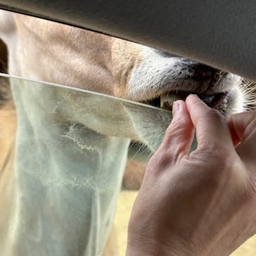 東北サファリパークに投稿された画像（2025/5/24）