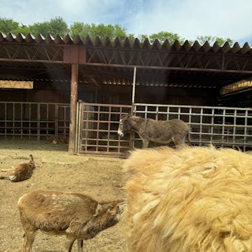 東北サファリパークに投稿された画像（2025/5/24）