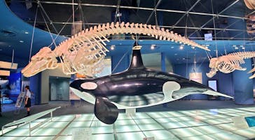 名古屋港水族館に投稿された画像（2025/5/24）