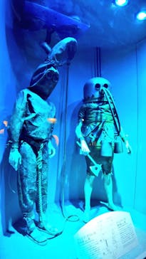 名古屋港水族館に投稿された画像（2025/5/24）