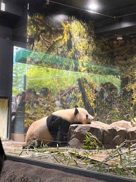 恩賜上野動物園に投稿された画像（2025/5/24）