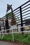 宇都宮動物園に投稿された画像（2025/5/25）