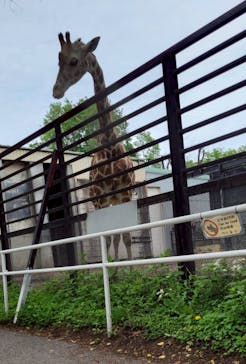 宇都宮動物園に投稿された画像（2025/5/24）