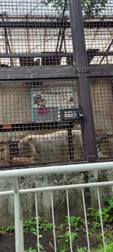 宇都宮動物園に投稿された画像（2025/5/24）