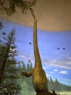 福井県立恐竜博物館に投稿された画像（2025/5/24）