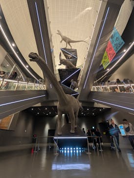 福井県立恐竜博物館に投稿された画像（2025/5/25）