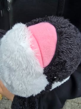 鴨川シーワールドに投稿された画像（2025/5/25）