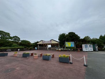 伊豆ぐらんぱる公園に投稿された画像（2025/5/25）