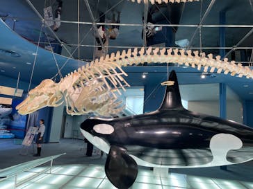 名古屋港水族館に投稿された画像（2025/5/25）