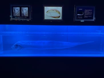 名古屋港水族館に投稿された画像（2025/5/25）