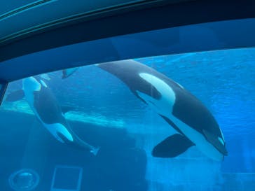 名古屋港水族館に投稿された画像（2025/5/25）