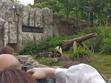 恩賜上野動物園に投稿された画像（2025/5/25）