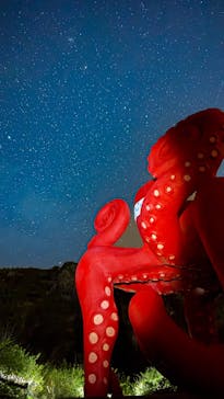 宮古島マリンショップSmileyに投稿された画像（2025/5/25）