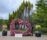 ぎふワールド・ローズガーデンに投稿された画像（2025/5/25）