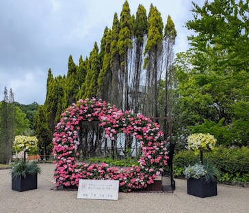 ぎふワールド・ローズガーデンに投稿された画像（2025/5/25）