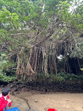 比謝川カヤックに投稿された画像（2025/5/25）