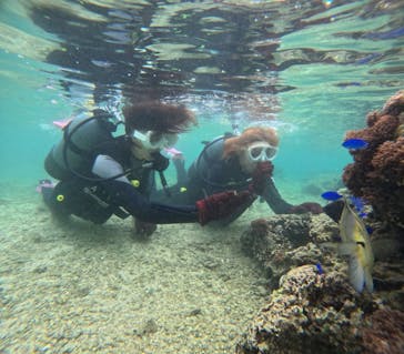 沖縄マリンサービス碧に投稿された画像（2025/5/25）