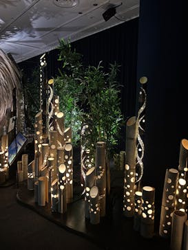 HOKUSAI : ANOTHER STORY in TOKYOに投稿された画像（2025/5/25）