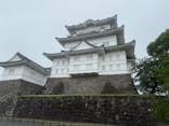小田原城に投稿された画像（2025/5/25）