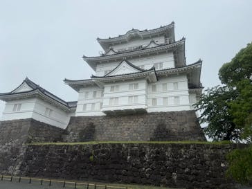 小田原城に投稿された画像（2025/5/25）