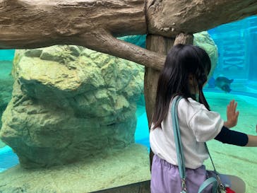 京都水族館に投稿された画像（2025/5/25）