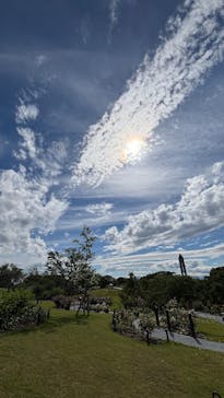 名古屋市東山動植物園に投稿された画像（2025/5/25）