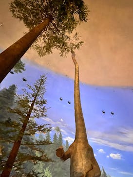 福井県立恐竜博物館に投稿された画像（2025/5/25）