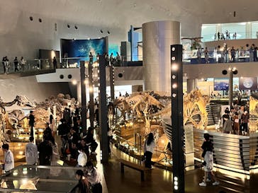 福井県立恐竜博物館に投稿された画像（2025/5/25）